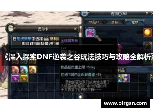 《深入探索DNF逆袭之谷玩法技巧与攻略全解析》