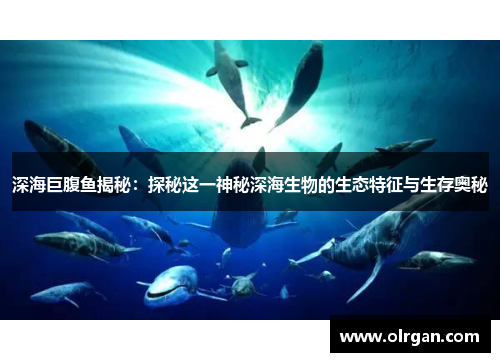 深海巨腹鱼揭秘:探秘这一神秘深海生物的生态特征与生存奥秘 深海巨腹鱼揭秘:探秘这一神秘深海生物的生态特征与生存奥秘