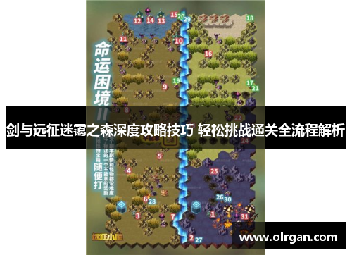 剑与远征迷霭之森深度攻略技巧 轻松挑战通关全流程解析