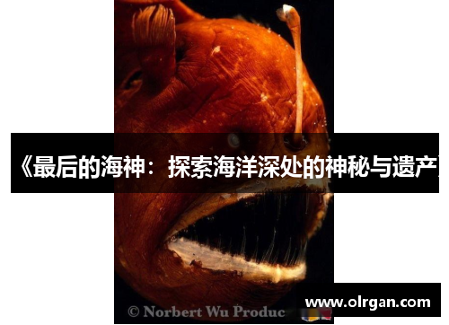 《最后的海神：探索海洋深处的神秘与遗产》