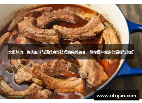 水道炖肉:传统滋味与现代烹饪技巧的完美融合,带你品味家乡的温暖与美好 水道炖肉:传统滋味与现代烹饪技巧的完美融合,带你品味家乡的温暖与美好